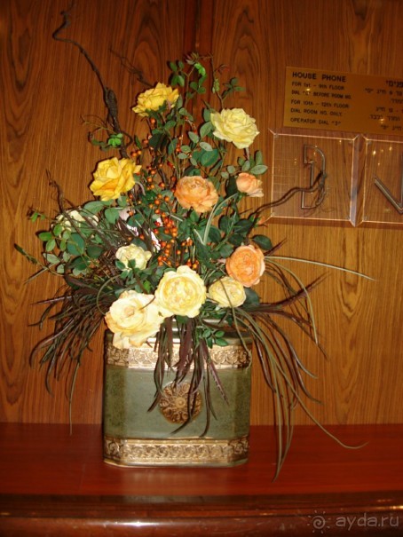 Жаркий и соленый Израиль