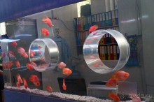 Океанариум "Морской аквариум" на Чистых прудах в Москве