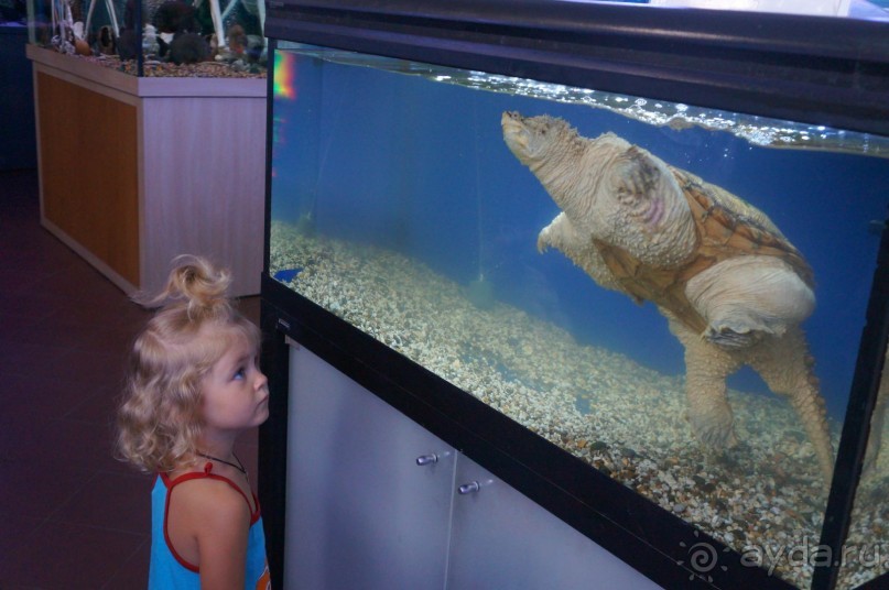 Океанариум "Морской аквариум" на Чистых прудах в Москве