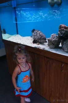 Океанариум "Морской аквариум" на Чистых прудах в Москве