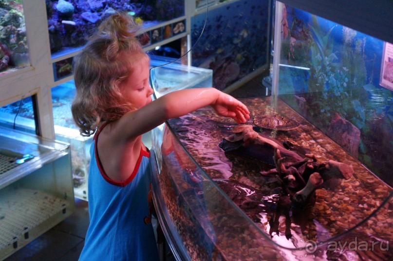 Океанариум "Морской аквариум" на Чистых прудах в Москве