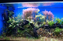 Океанариум "Морской аквариум" на Чистых прудах в Москве