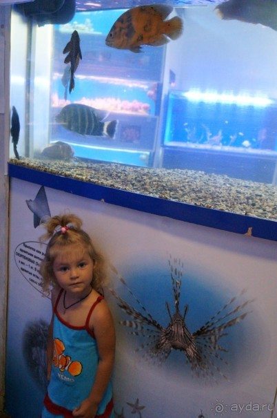 Океанариум "Морской аквариум" на Чистых прудах в Москве