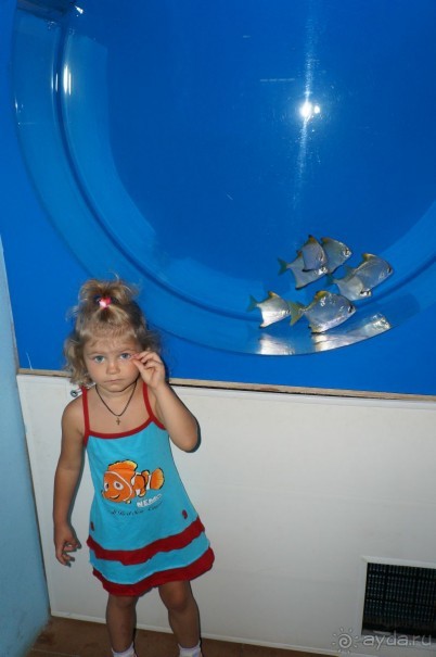 Океанариум "Морской аквариум" на Чистых прудах в Москве