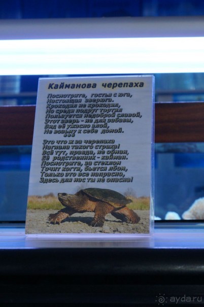 Океанариум "Морской аквариум" на Чистых прудах в Москве