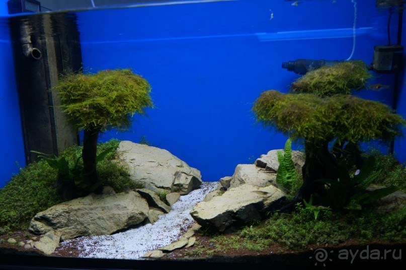 Океанариум "Морской аквариум" на Чистых прудах в Москве