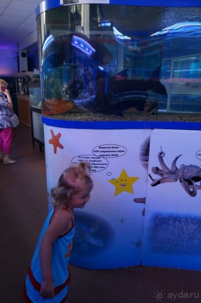 Океанариум "Морской аквариум" на Чистых прудах в Москве