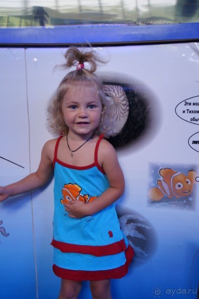 Океанариум "Морской аквариум" на Чистых прудах в Москве