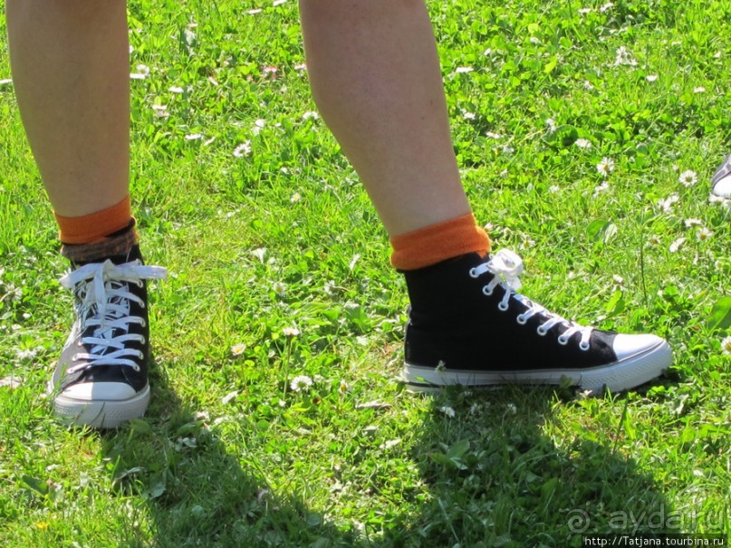 Как нас засасывало в голландской провинции Гронинген.