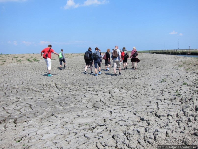 Как нас засасывало в голландской провинции Гронинген.