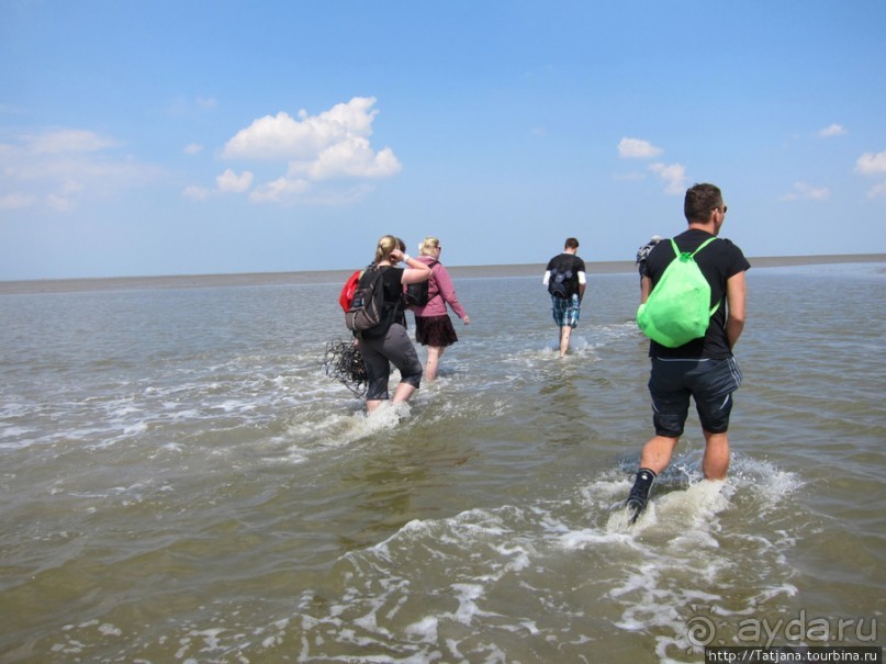 Как нас засасывало в голландской провинции Гронинген.