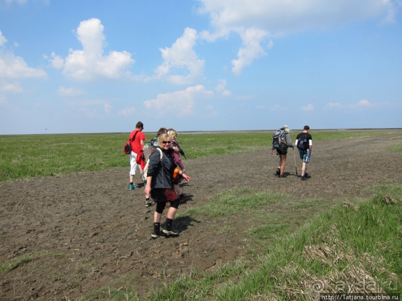 Как нас засасывало в голландской провинции Гронинген.