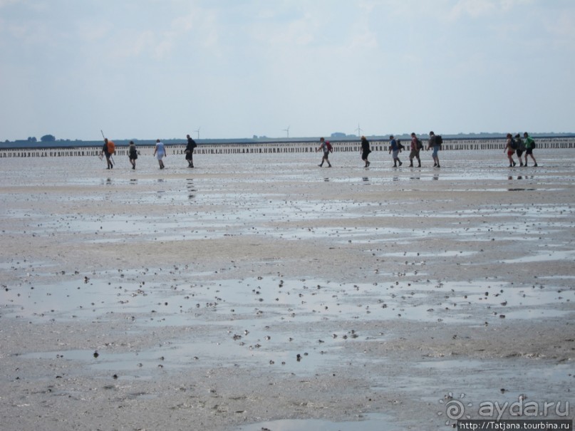 Как нас засасывало в голландской провинции Гронинген.