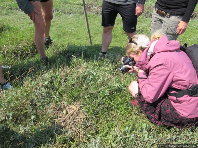 Как нас засасывало в голландской провинции Гронинген.