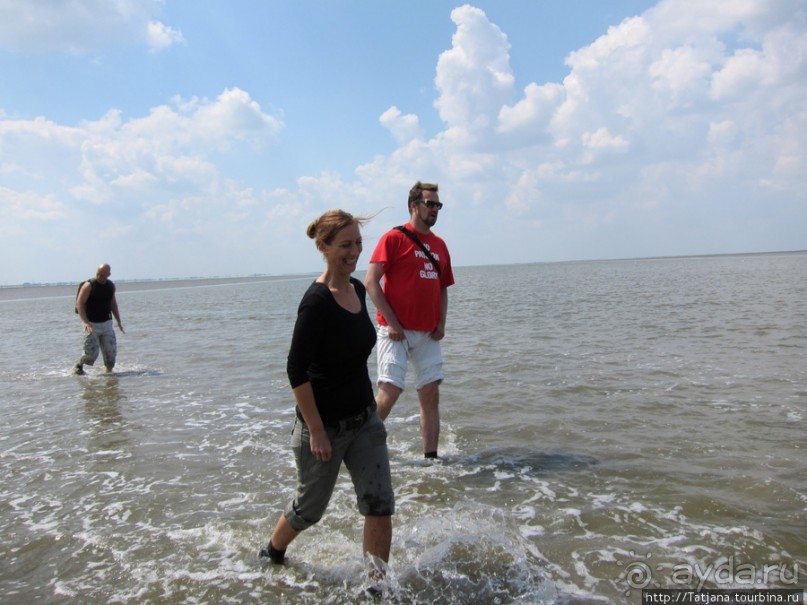 Как нас засасывало в голландской провинции Гронинген.