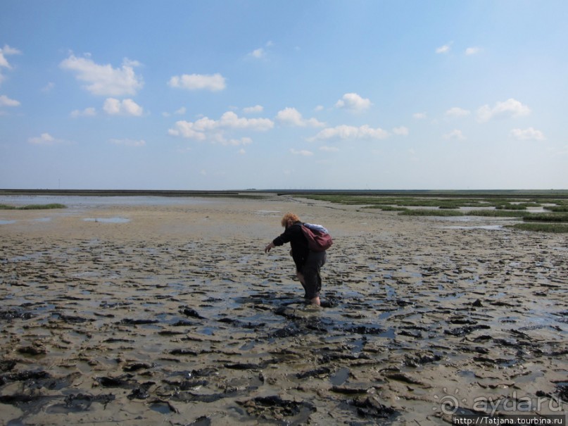 Как нас засасывало в голландской провинции Гронинген.