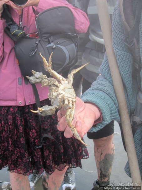 Как нас засасывало в голландской провинции Гронинген.