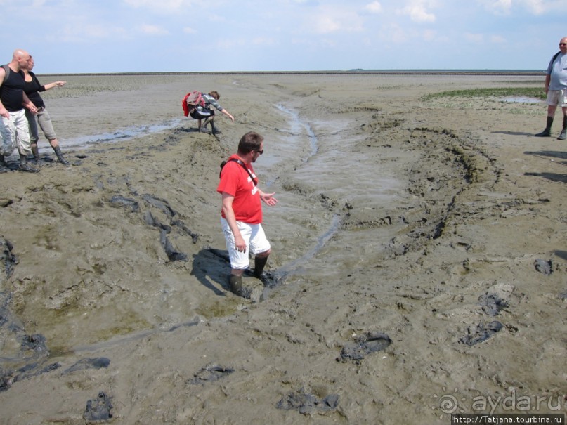 Как нас засасывало в голландской провинции Гронинген.