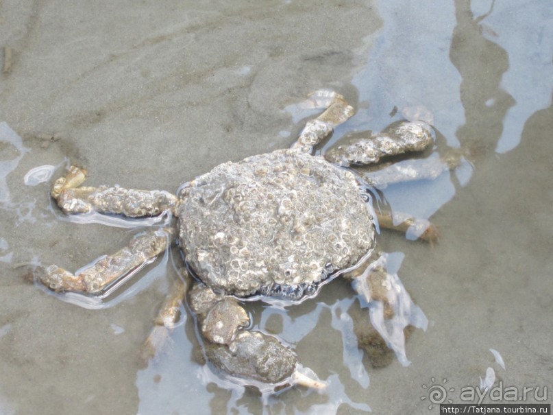 Как нас засасывало в голландской провинции Гронинген.