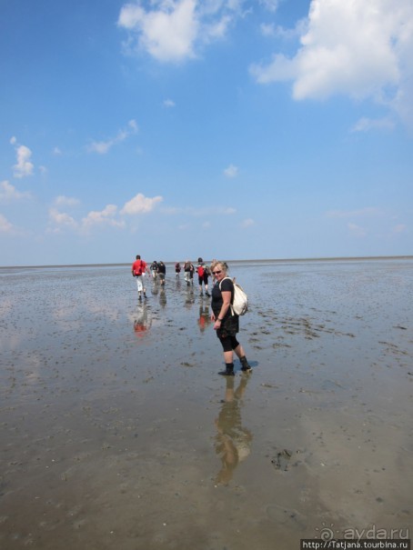 Как нас засасывало в голландской провинции Гронинген.