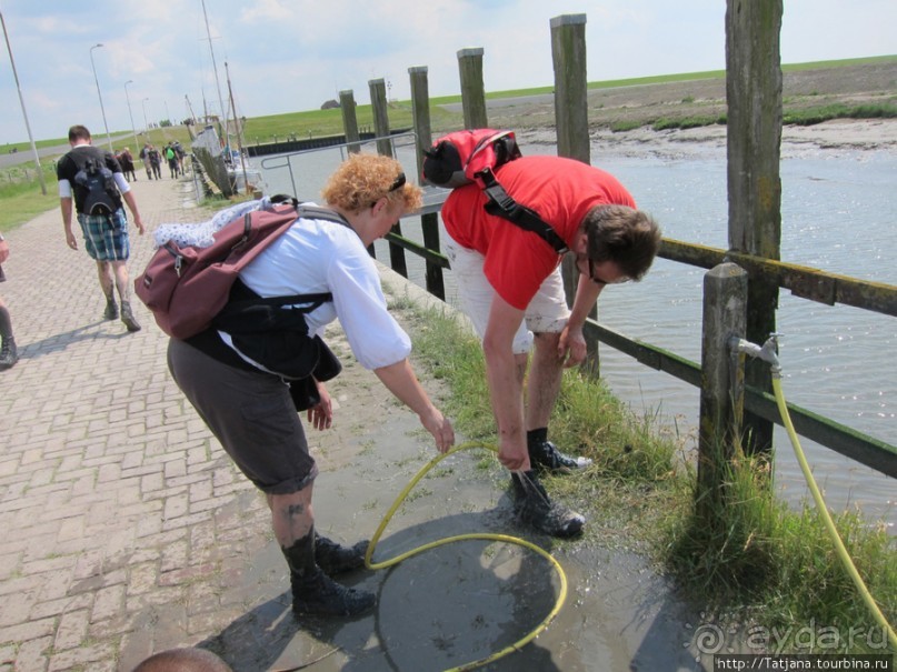 Как нас засасывало в голландской провинции Гронинген.