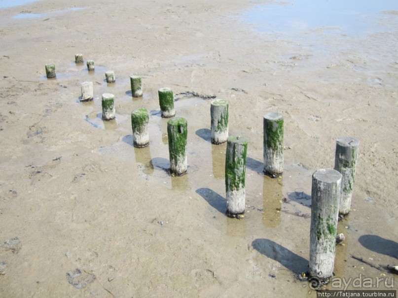 Как нас засасывало в голландской провинции Гронинген.