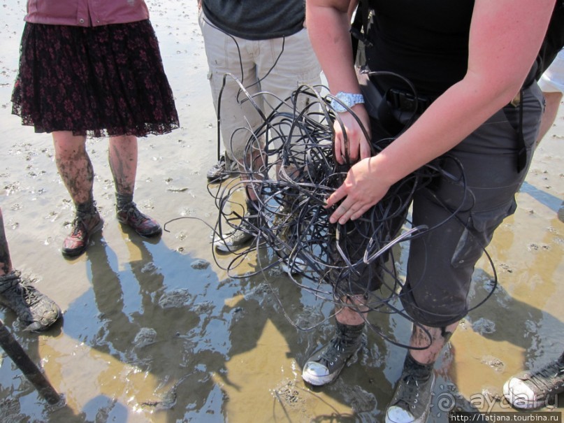 Как нас засасывало в голландской провинции Гронинген.