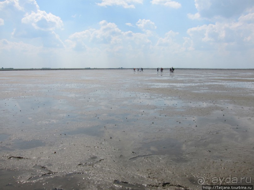 Как нас засасывало в голландской провинции Гронинген.