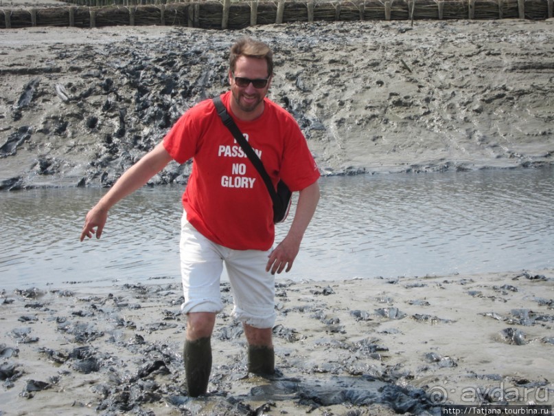 Как нас засасывало в голландской провинции Гронинген.