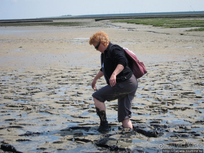 Как нас засасывало в голландской провинции Гронинген.