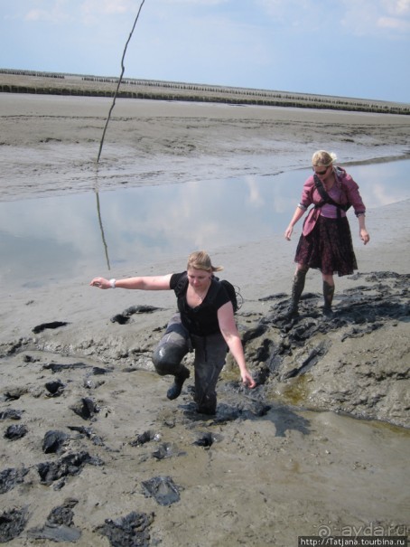 Как нас засасывало в голландской провинции Гронинген.