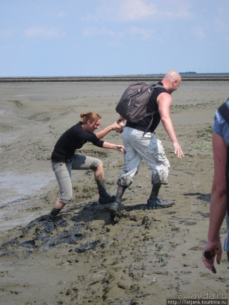 Как нас засасывало в голландской провинции Гронинген.