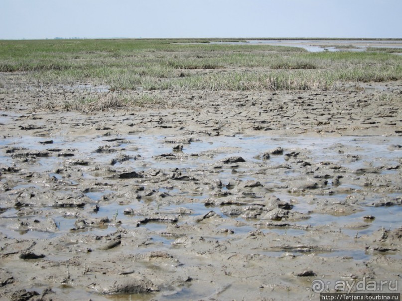 Как нас засасывало в голландской провинции Гронинген.