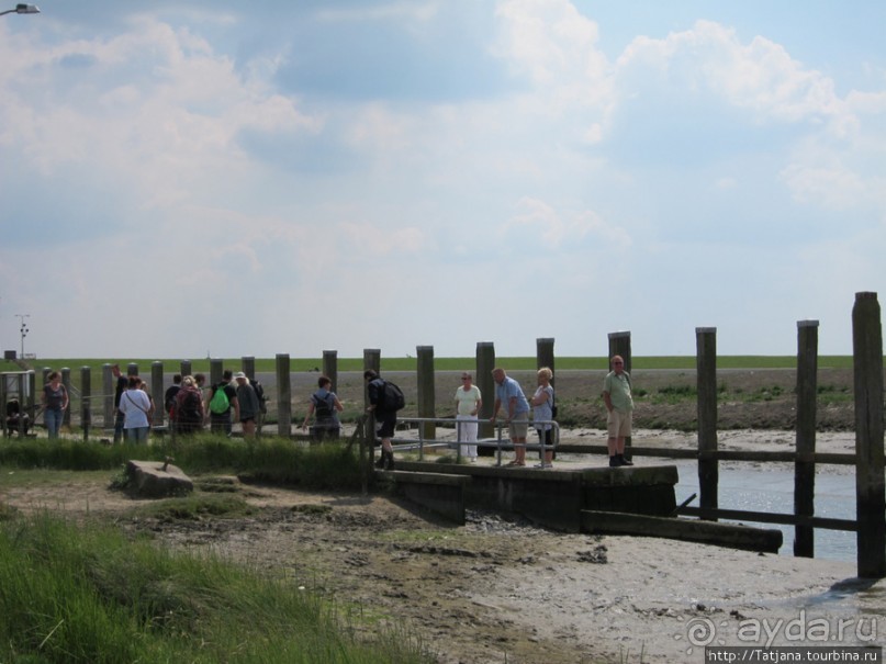 Как нас засасывало в голландской провинции Гронинген.