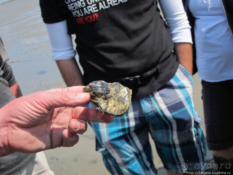Как нас засасывало в голландской провинции Гронинген.
