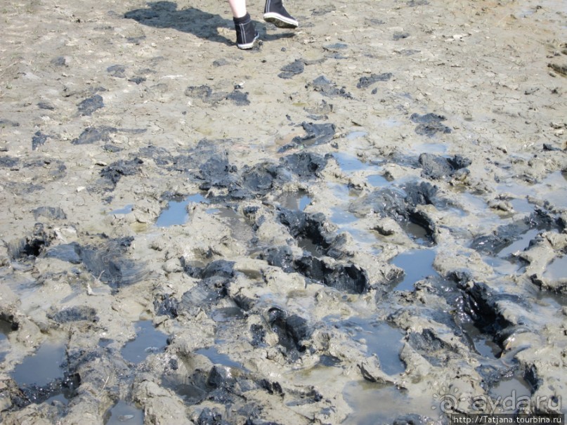 Как нас засасывало в голландской провинции Гронинген.