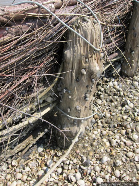 Как нас засасывало в голландской провинции Гронинген.