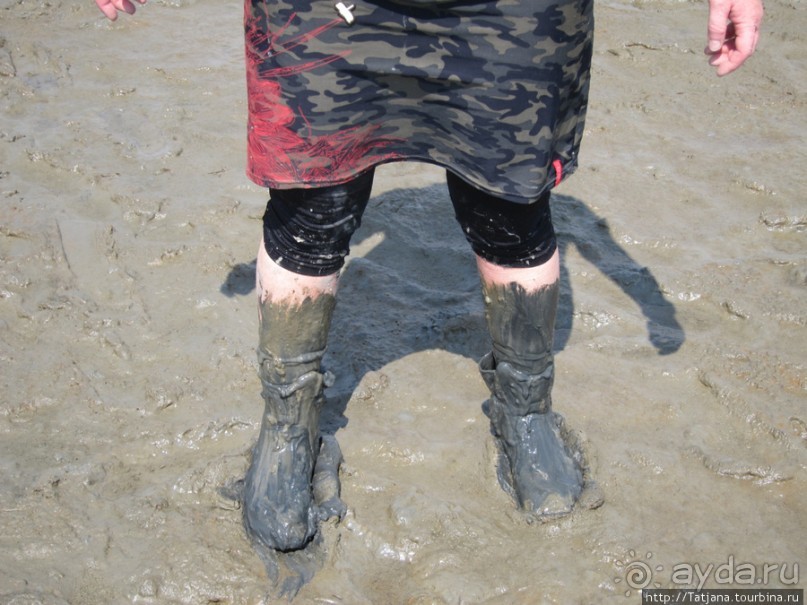 Как нас засасывало в голландской провинции Гронинген.