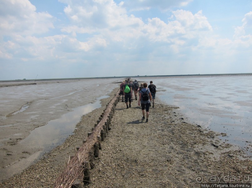 Как нас засасывало в голландской провинции Гронинген.