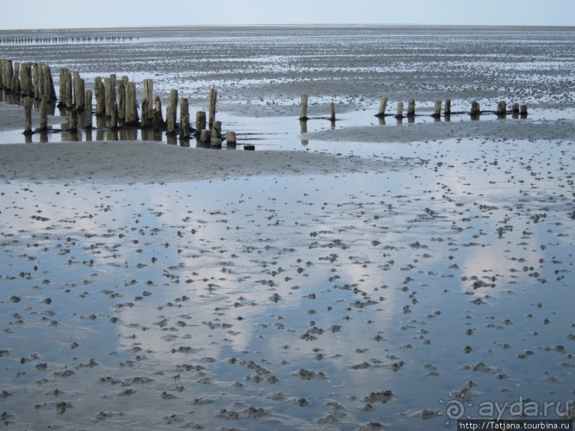 Как нас засасывало в голландской провинции Гронинген.