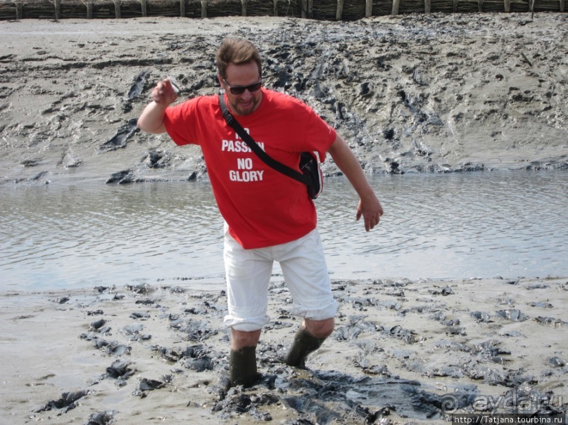 Как нас засасывало в голландской провинции Гронинген.