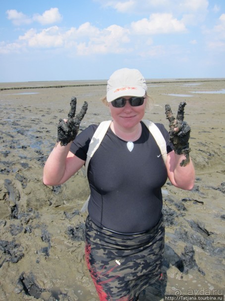 Как нас засасывало в голландской провинции Гронинген.