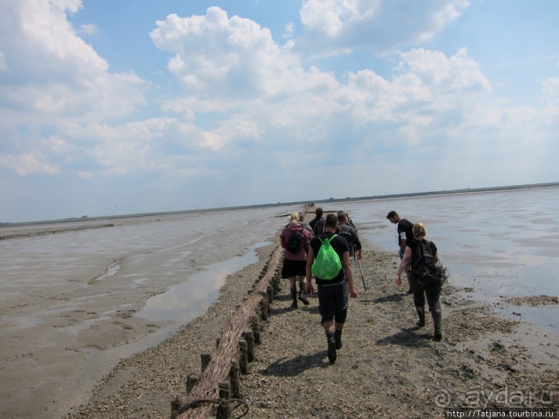 Как нас засасывало в голландской провинции Гронинген.