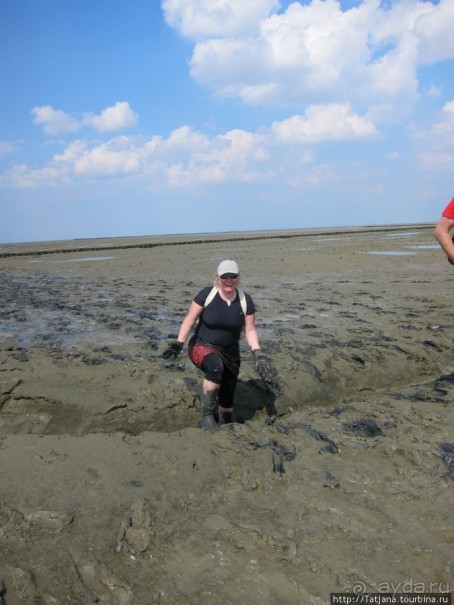 Как нас засасывало в голландской провинции Гронинген.