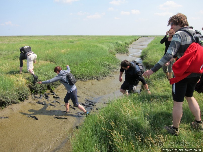 Как нас засасывало в голландской провинции Гронинген.