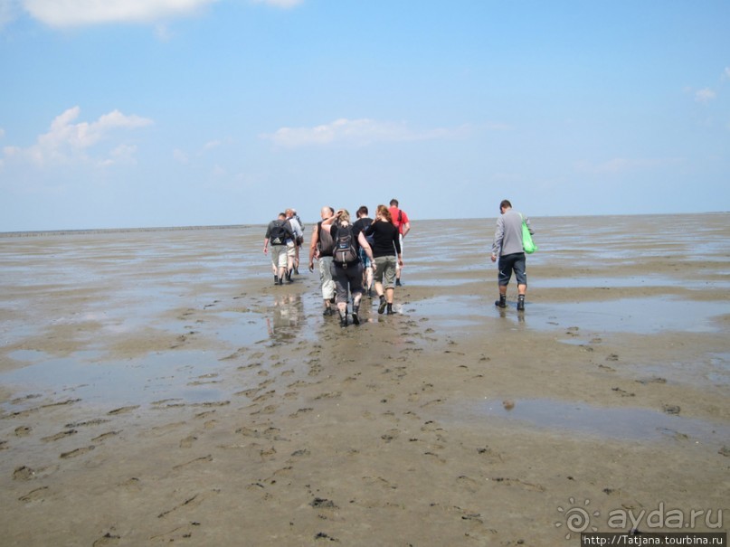 Как нас засасывало в голландской провинции Гронинген.