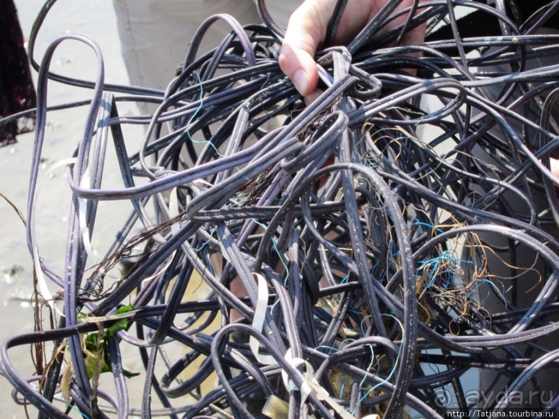 Как нас засасывало в голландской провинции Гронинген.