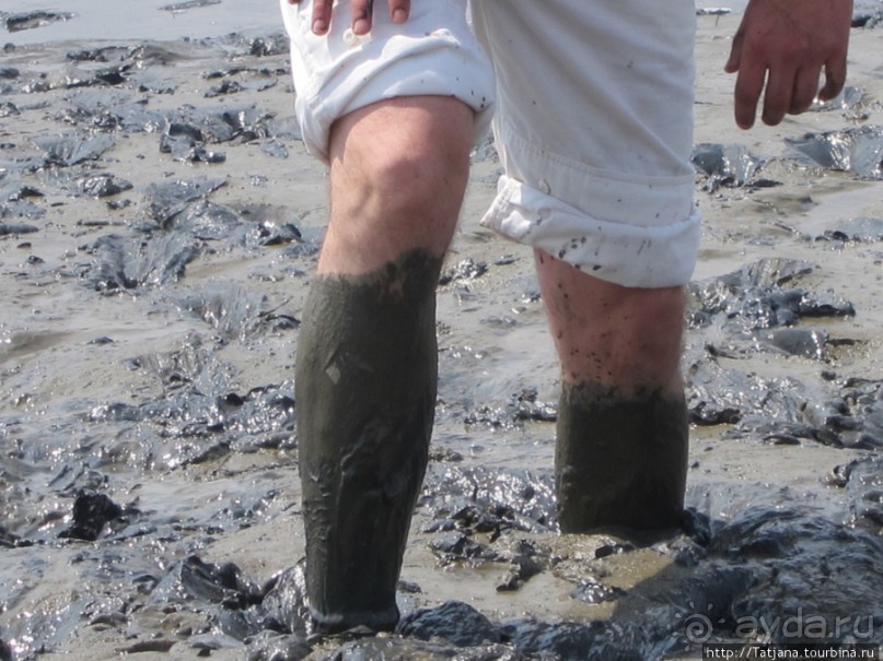 Как нас засасывало в голландской провинции Гронинген.