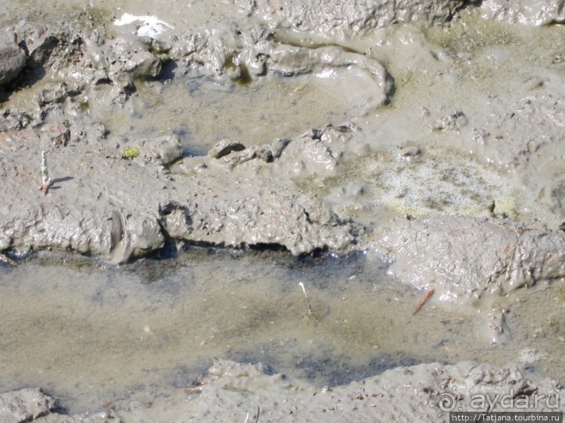 Как нас засасывало в голландской провинции Гронинген.