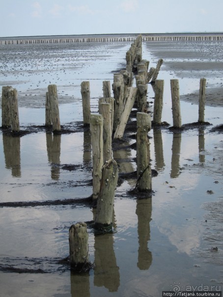 Как нас засасывало в голландской провинции Гронинген.